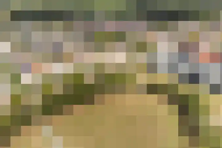 Bacchus 6 Wijk bij Duurstede thumbnail 69