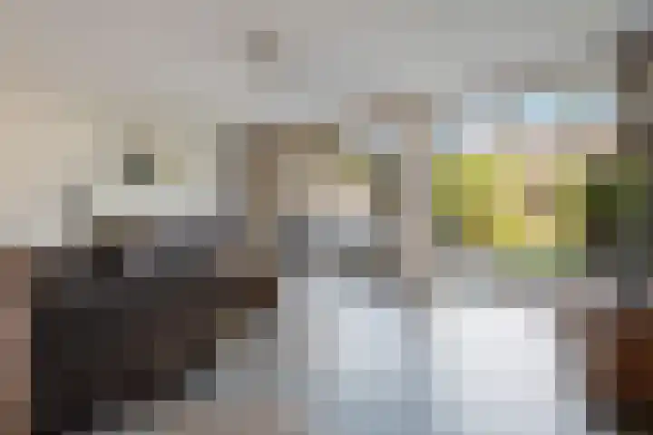 Bacchus 6 Wijk bij Duurstede thumbnail 7