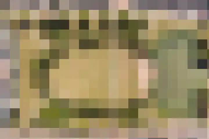 Bacchus 6 Wijk bij Duurstede thumbnail 70