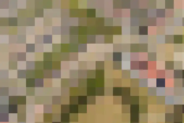 Bacchus 6 Wijk bij Duurstede thumbnail 71