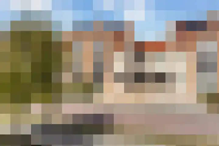 Bacchus 6 Wijk bij Duurstede thumbnail 77