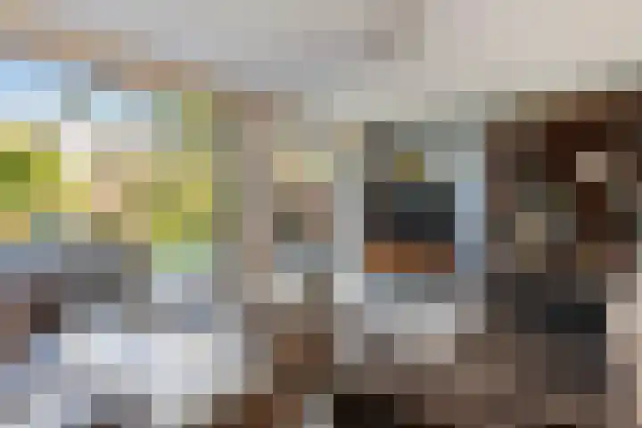 Bacchus 6 Wijk bij Duurstede thumbnail 8