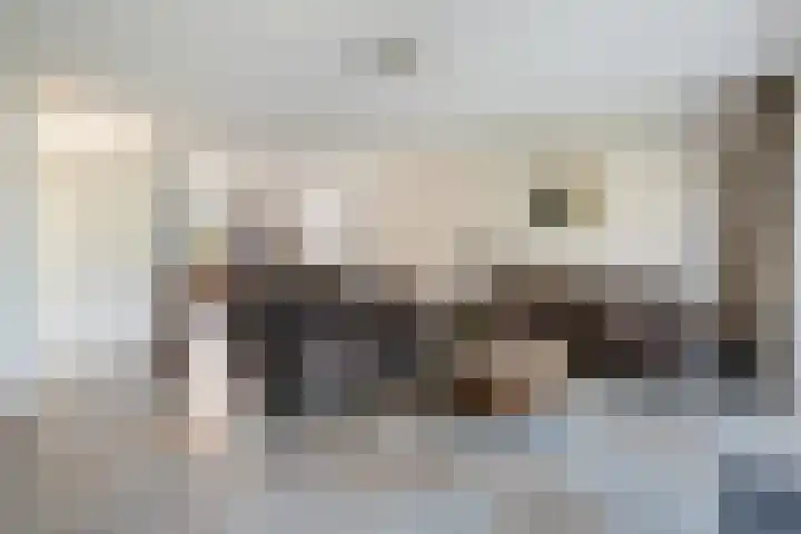 Bacchus 6 Wijk bij Duurstede thumbnail 9
