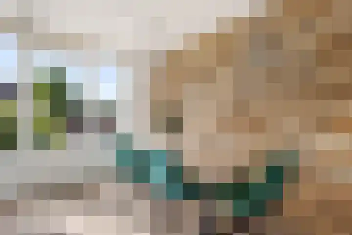 Bacchus 66 Wijk bij Duurstede thumbnail 21