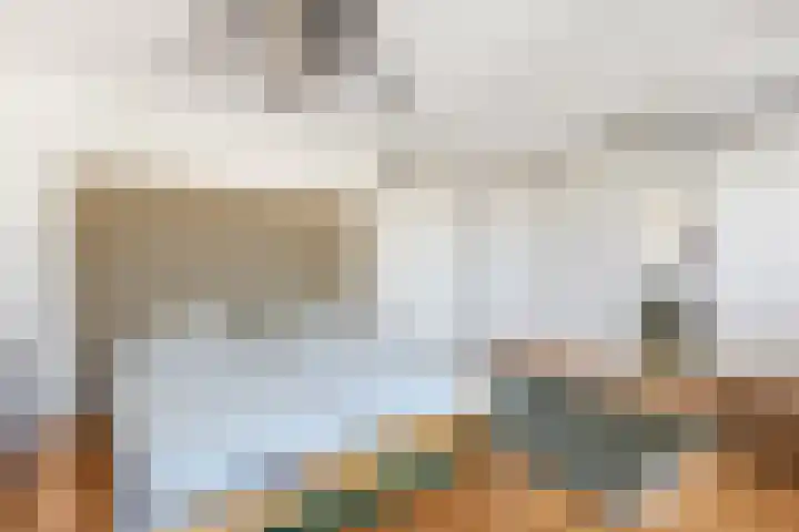 Bacchus 66 Wijk bij Duurstede thumbnail 26