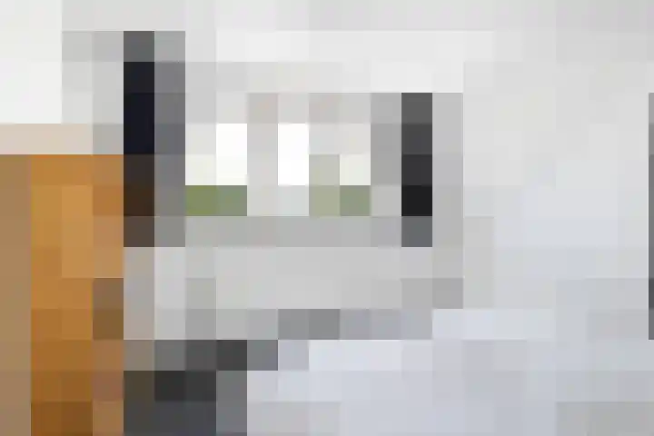 Bacchus 66 Wijk bij Duurstede thumbnail 32