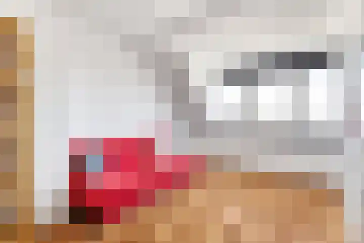 Bacchus 66 Wijk bij Duurstede thumbnail 34