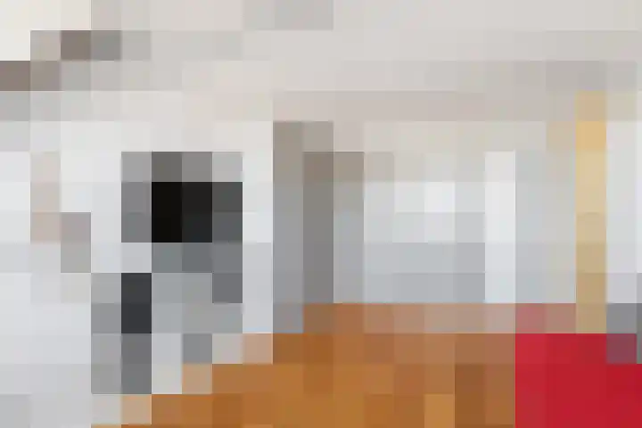 Bacchus 66 Wijk bij Duurstede thumbnail 35