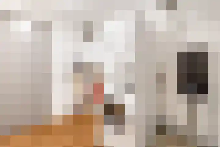 Bacchus 66 Wijk bij Duurstede thumbnail 37