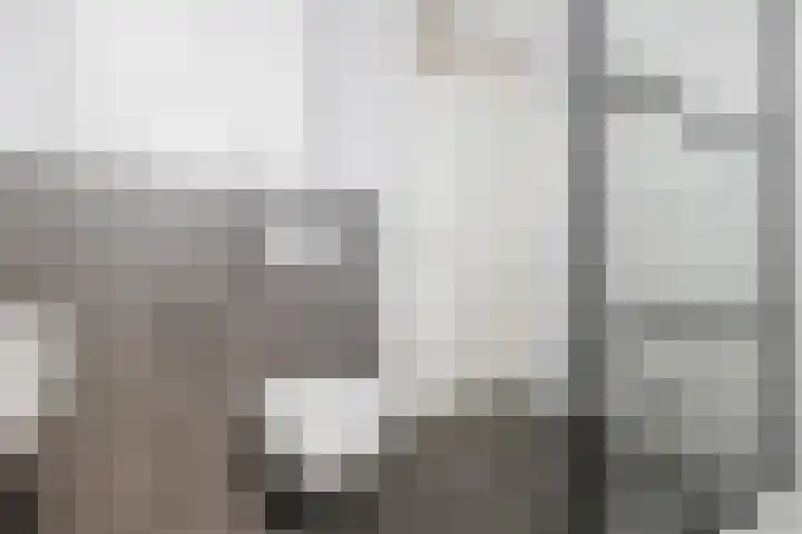 Bacchus 66 Wijk bij Duurstede thumbnail 4