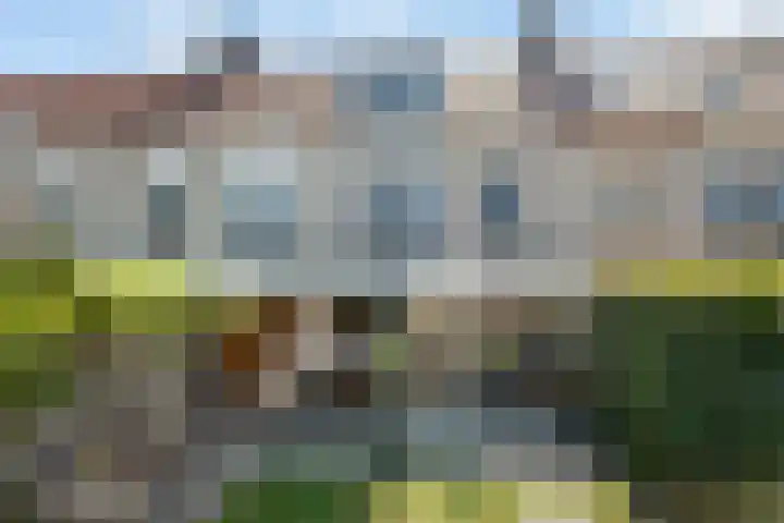 Bacchus 66 Wijk bij Duurstede thumbnail 40