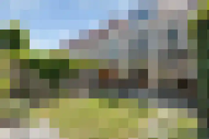 Bacchus 66 Wijk bij Duurstede thumbnail 41