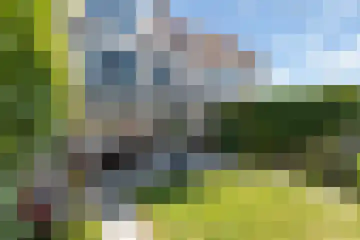 Bacchus 66 Wijk bij Duurstede thumbnail 42