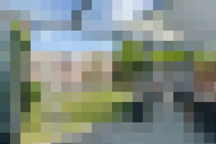 Bacchus 66 Wijk bij Duurstede thumbnail 43