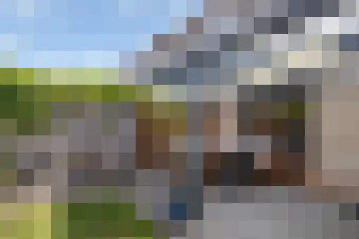 Bacchus 66 Wijk bij Duurstede thumbnail 44