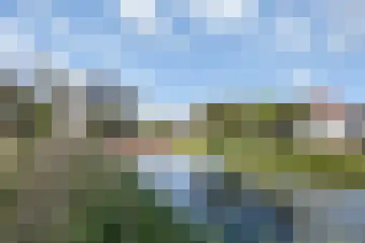 Bacchus 66 Wijk bij Duurstede thumbnail 47