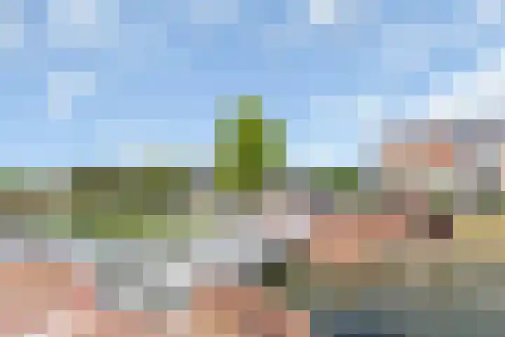 Bacchus 66 Wijk bij Duurstede thumbnail 48