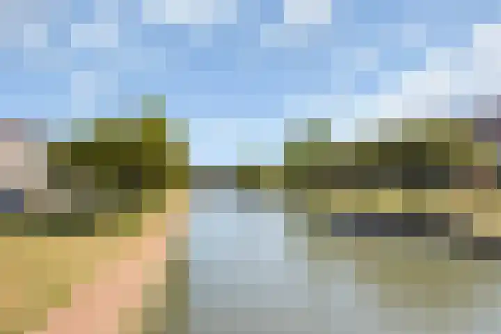 Bacchus 66 Wijk bij Duurstede thumbnail 49
