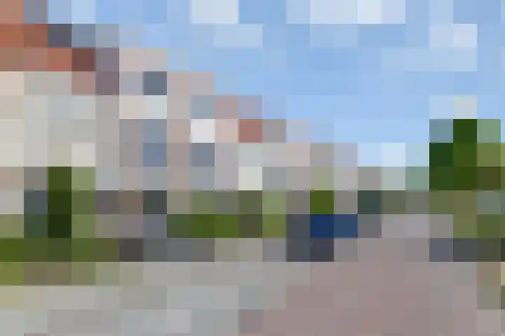 Bacchus 66 Wijk bij Duurstede thumbnail 5
