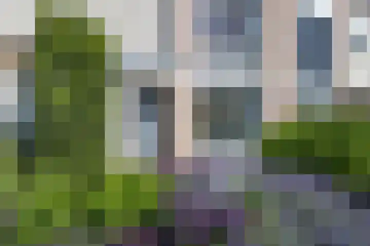Bacchus 66 Wijk bij Duurstede thumbnail 8