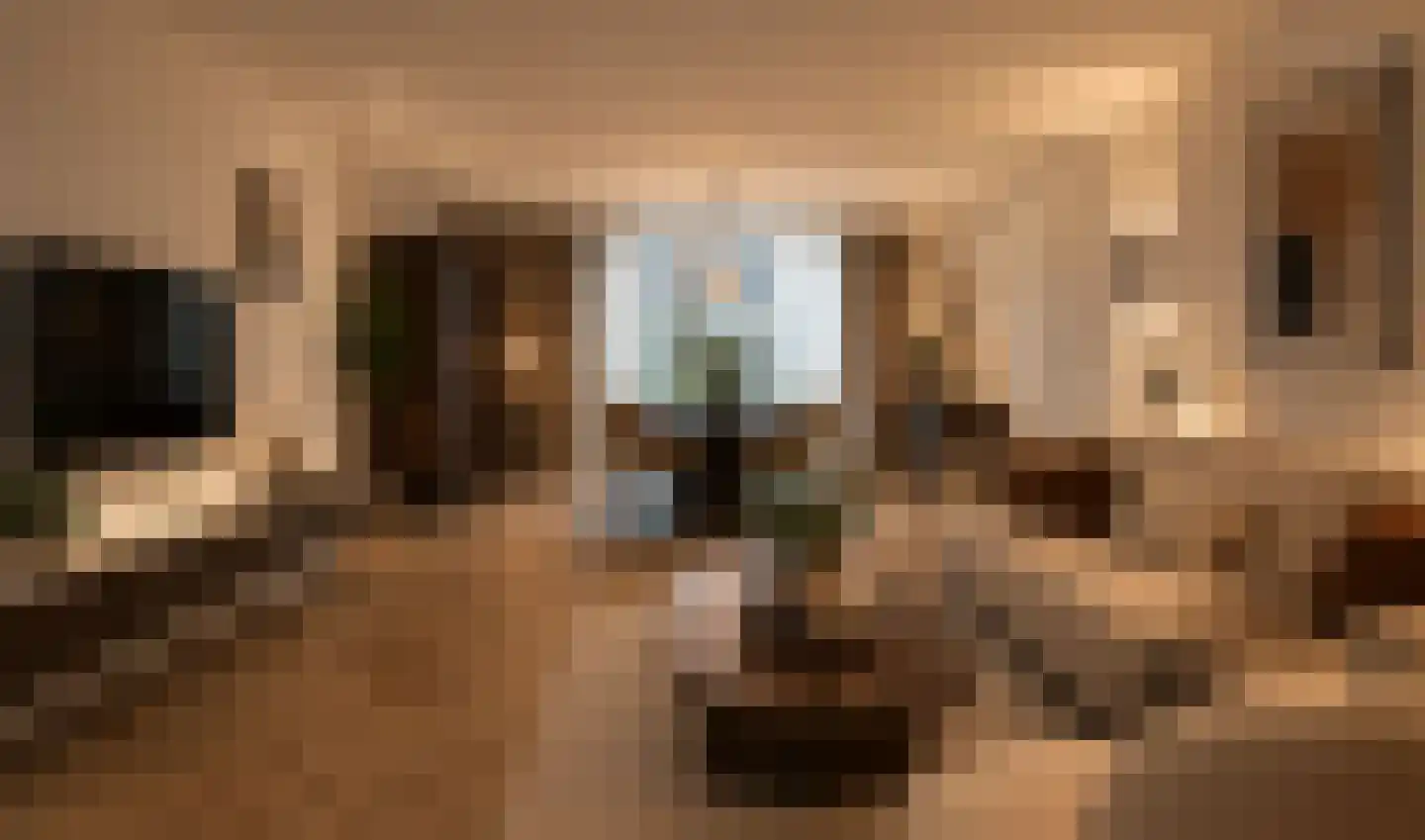 Bach 3 Monster thumbnail 11