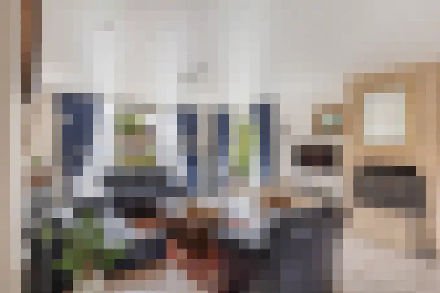 Bach 3 Monster thumbnail 12