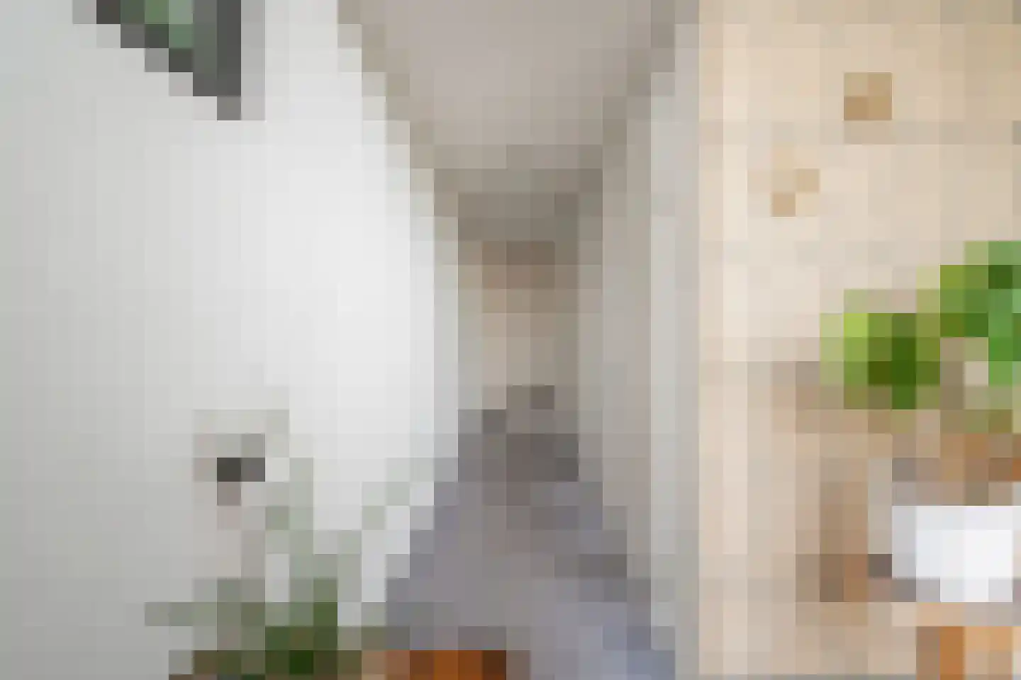 Bach 3 Monster thumbnail 21