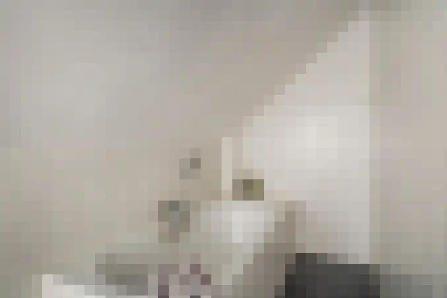 Bach 3 Monster thumbnail 27