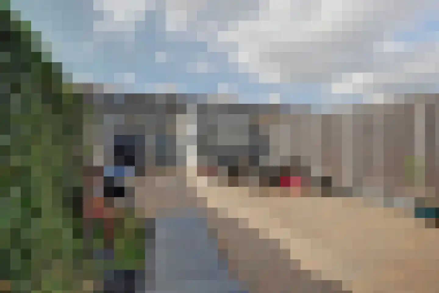 Bachbaan 49 Spijkenisse thumbnail 14
