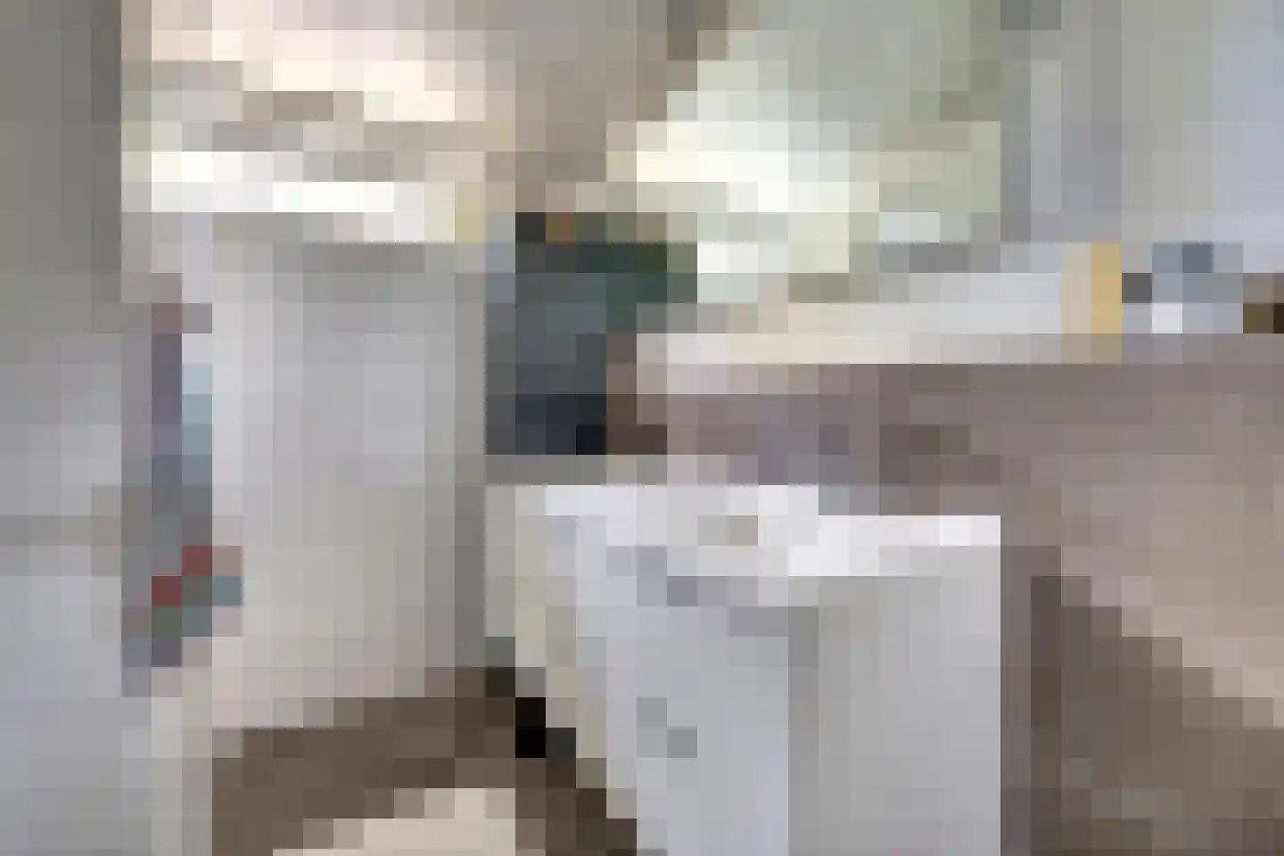 Bachbaan 49 Spijkenisse thumbnail 17