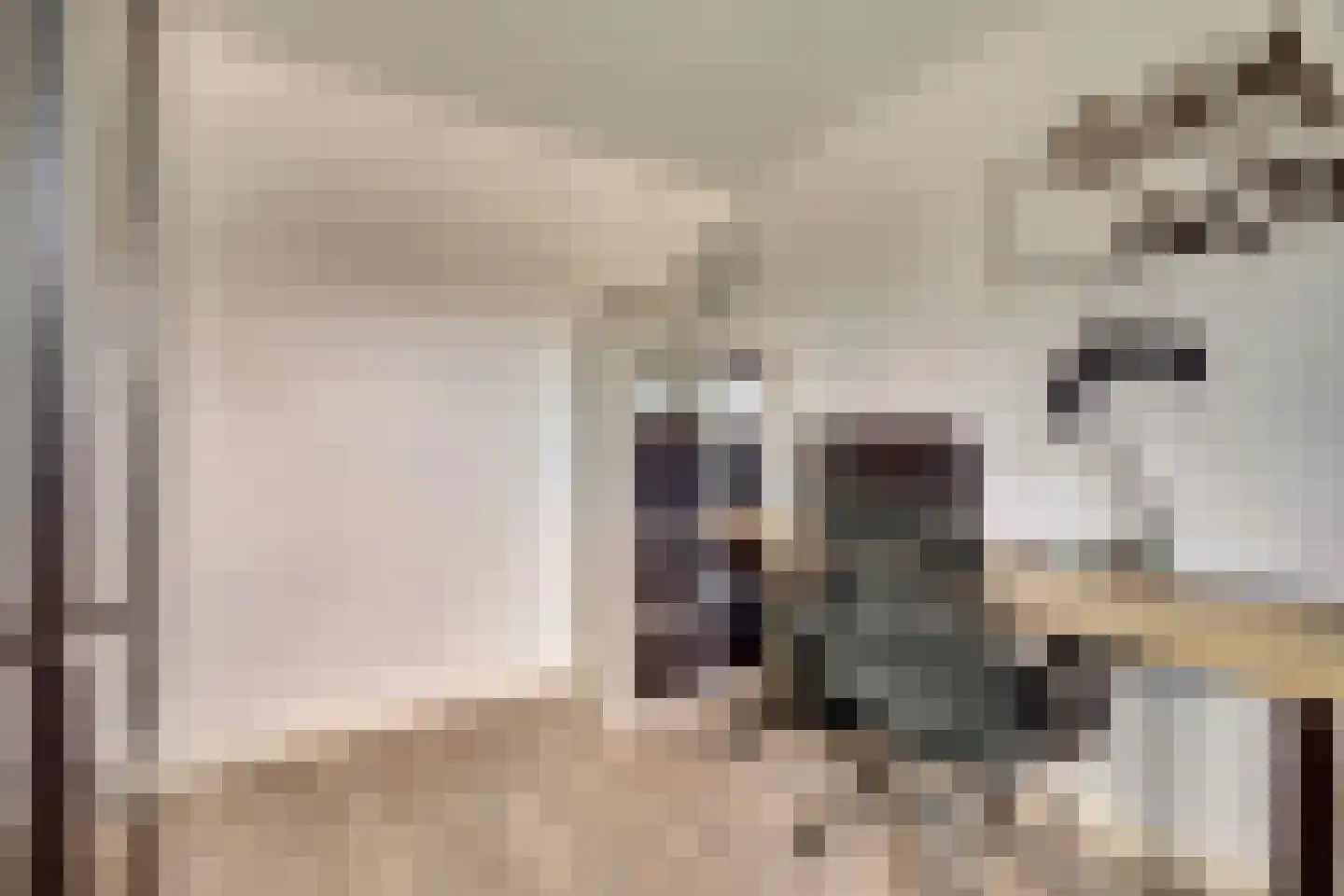 Bachbaan 49 Spijkenisse thumbnail 23