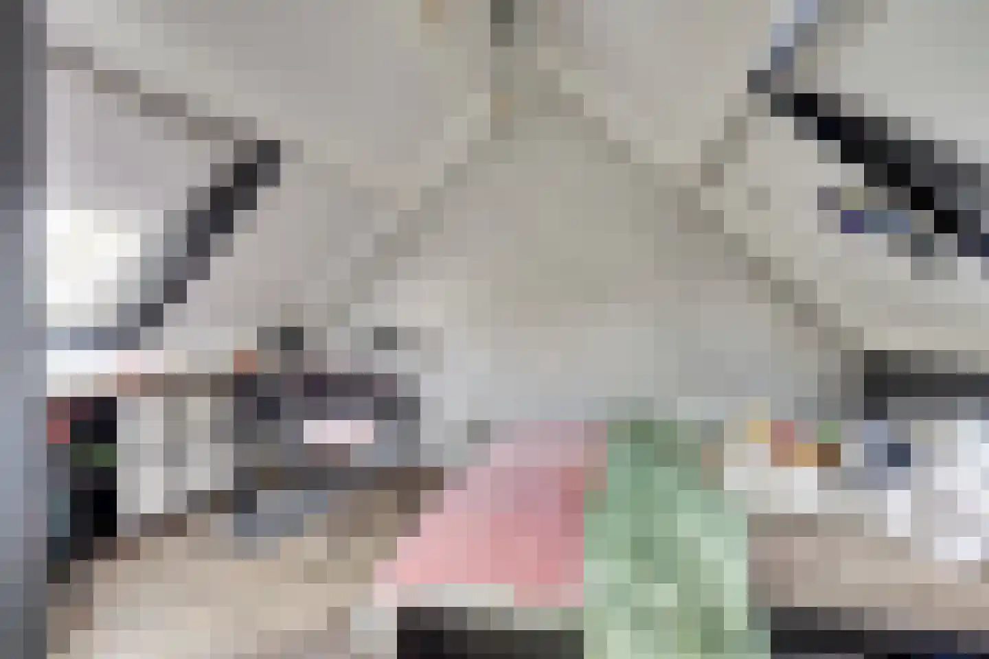 Bachbaan 49 Spijkenisse thumbnail 27
