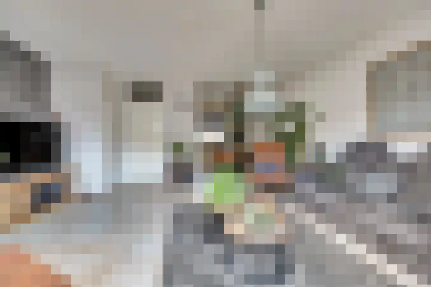 Bachbaan 49 Spijkenisse thumbnail 5