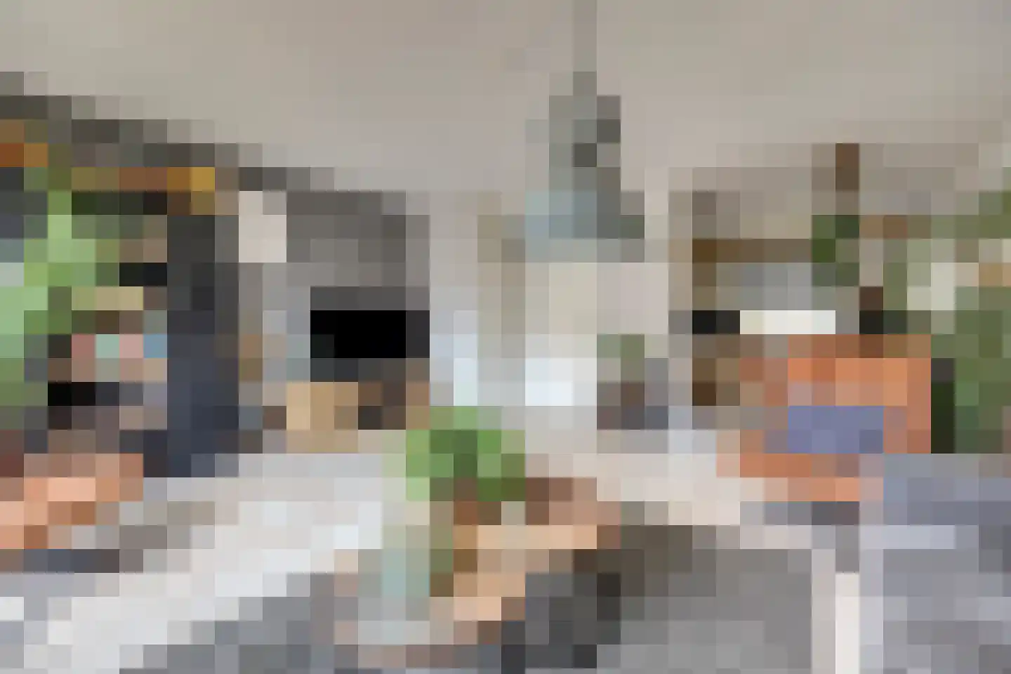 Bachbaan 49 Spijkenisse thumbnail 6