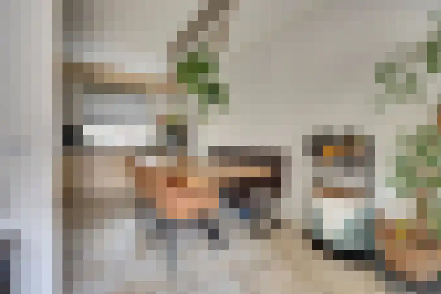 Bachbaan 49 Spijkenisse thumbnail 7