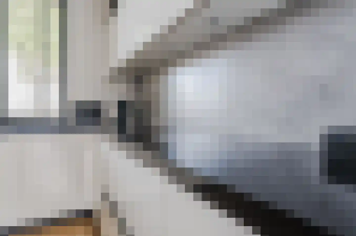Bachbaan 63 Spijkenisse thumbnail 12