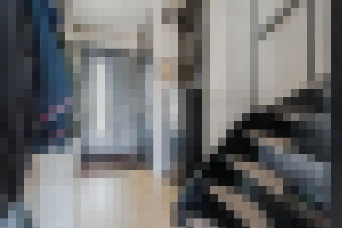 Bachbaan 63 Spijkenisse thumbnail 16