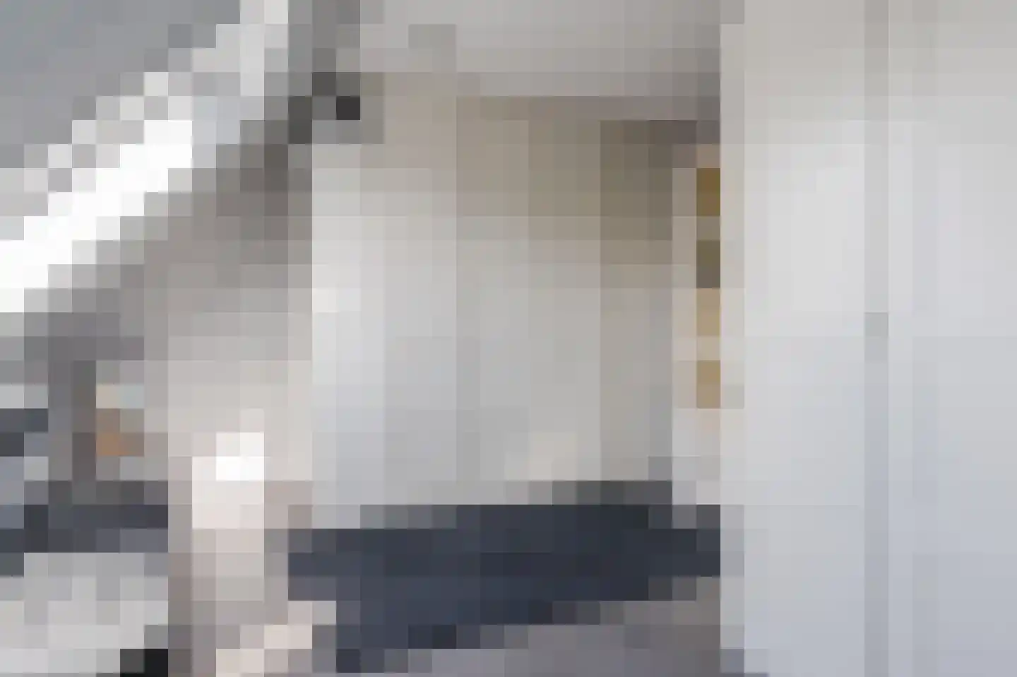 Bachbaan 63 Spijkenisse thumbnail 23