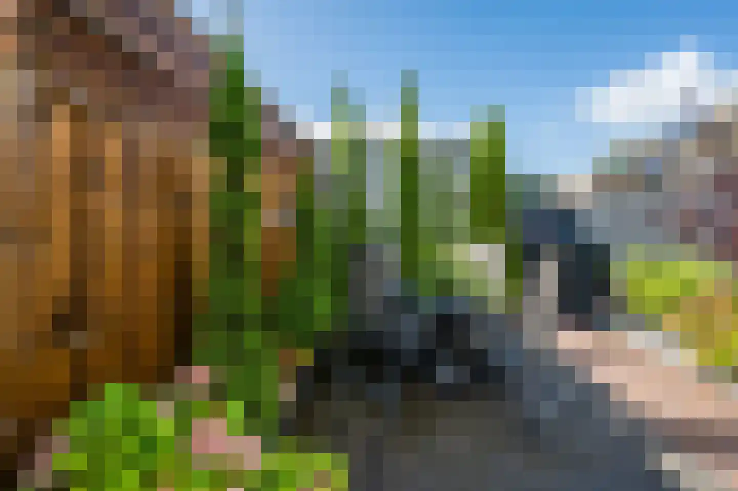 Bachbaan 63 Spijkenisse thumbnail 34