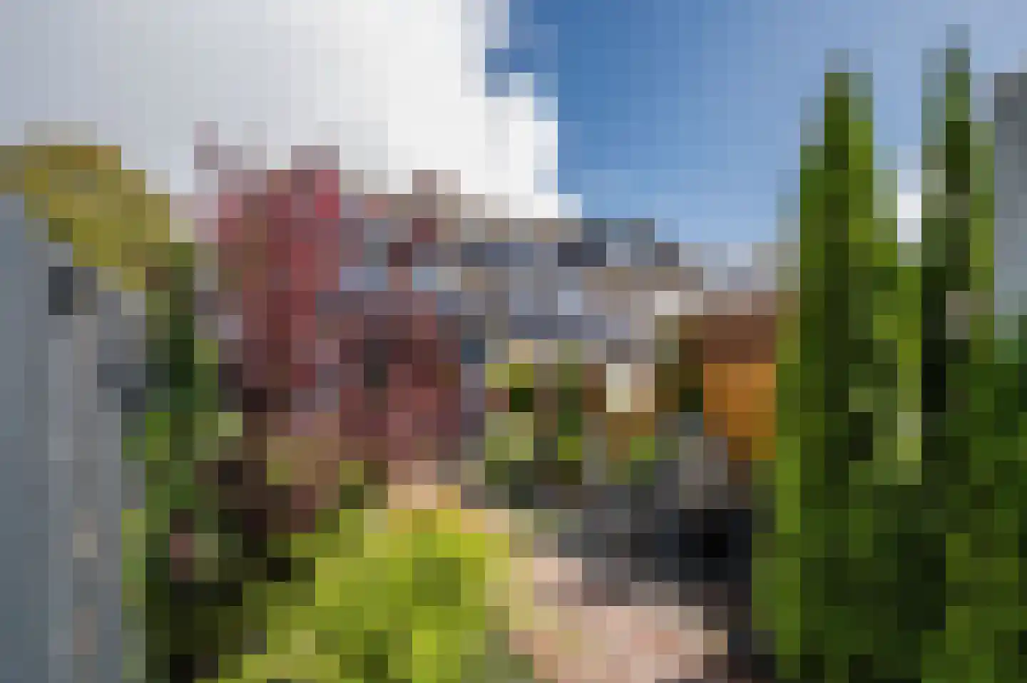 Bachbaan 63 Spijkenisse thumbnail 35