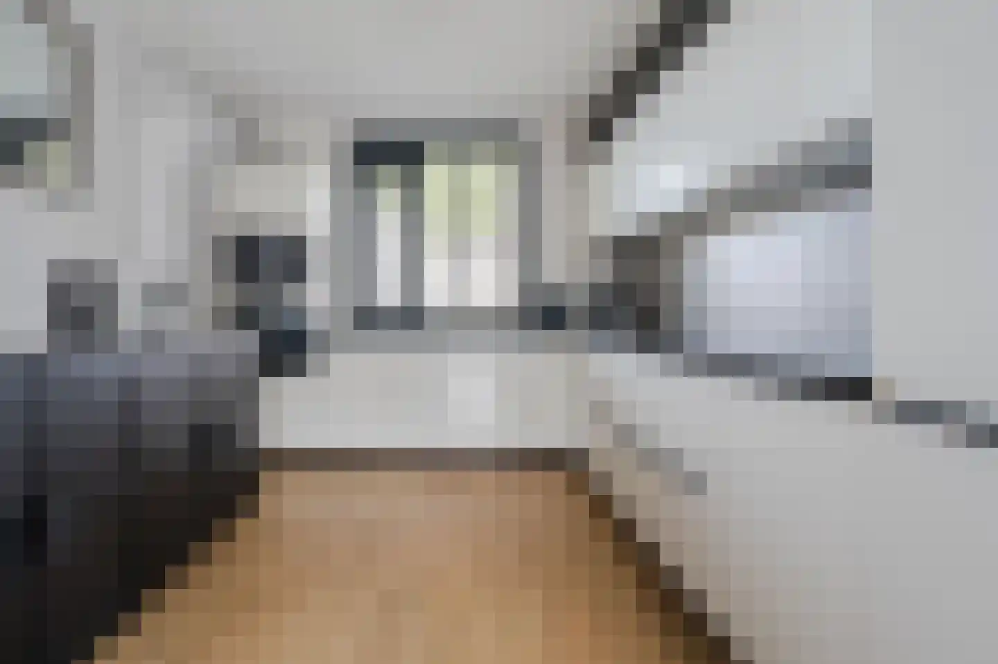 Bachbaan 63 Spijkenisse thumbnail 4