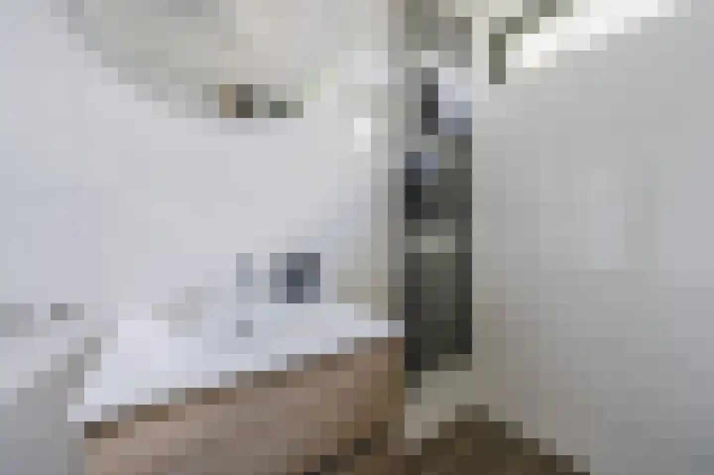 Bachbaan 63 Spijkenisse thumbnail 5