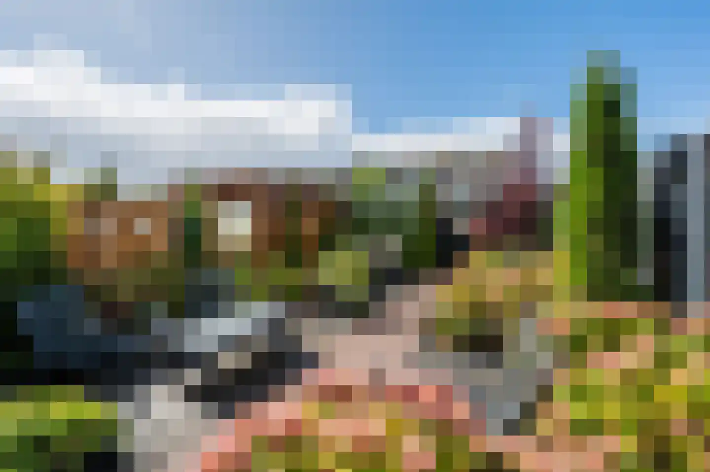 Bachbaan 63 Spijkenisse thumbnail 6