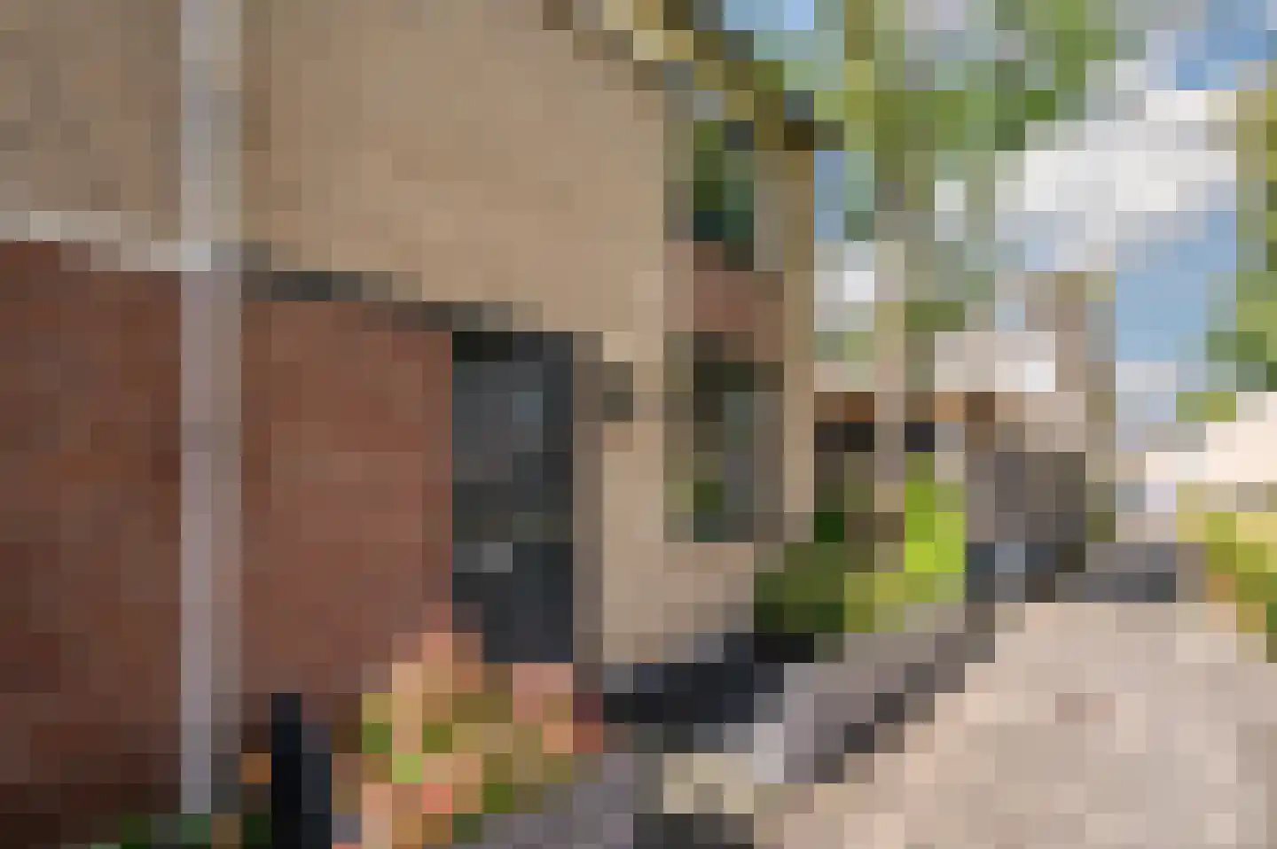 Bachbaan 63 Spijkenisse thumbnail 7
