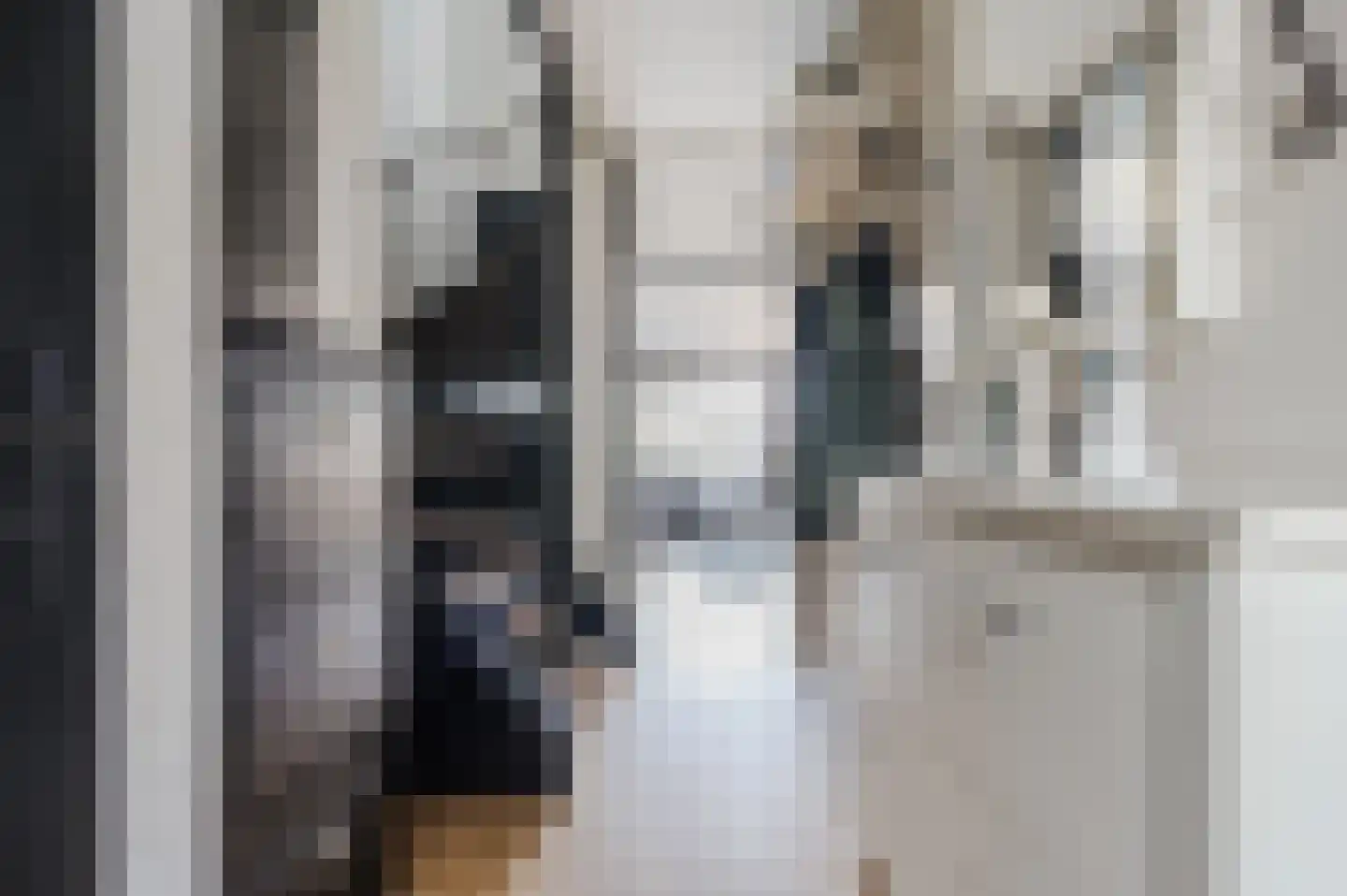 Bachbaan 63 Spijkenisse thumbnail 8