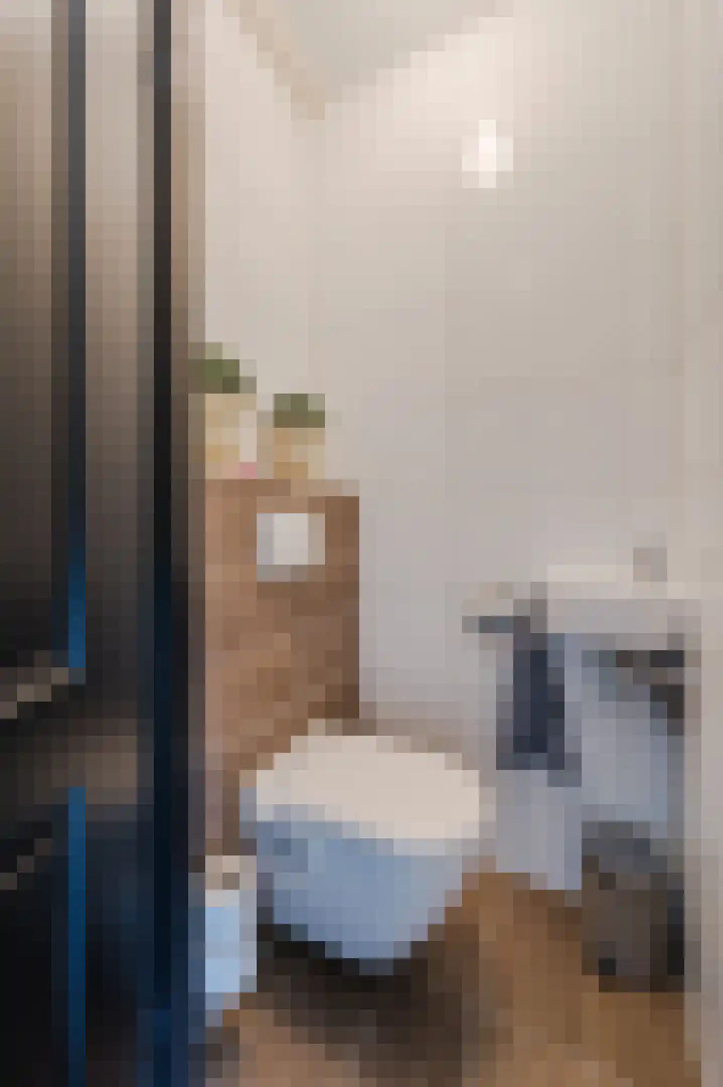 Bachbaan 63 Spijkenisse thumbnail 9