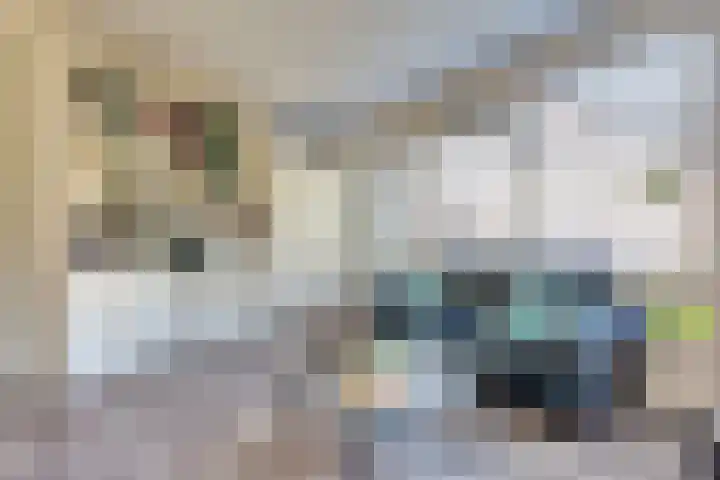 Bachdreef 11 Harderwijk thumbnail 15