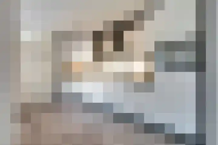 Bachdreef 11 Harderwijk thumbnail 17