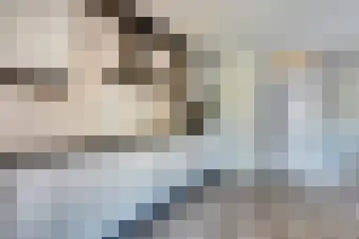 Bachdreef 11 Harderwijk thumbnail 19