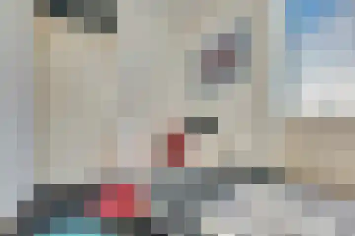 Bachdreef 11 Harderwijk thumbnail 24